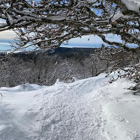 Feriehus L'echappee Belle, Vue Panoramique Sur La Campagne